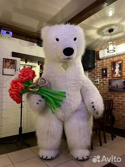 Поздравление от большого белого медведя/панды