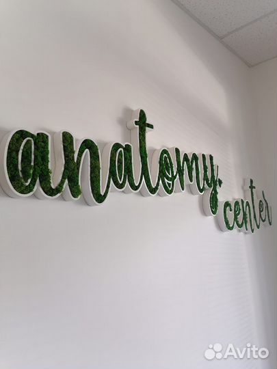 Стабилизированный Мох. Озеленение. Ягель. Кочки