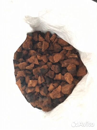 Березовый гриб чага