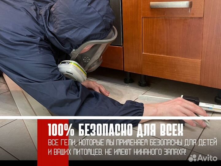 Уничтожение тараканов, уничтожение клопов, дезинсе