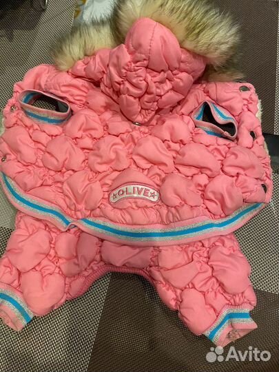 Одежда для маленьких пород собак