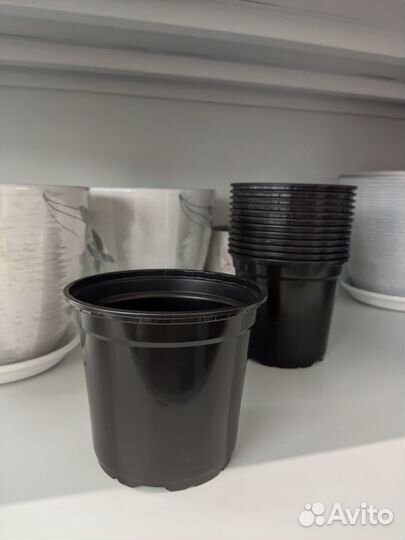 Контейнер для рассады