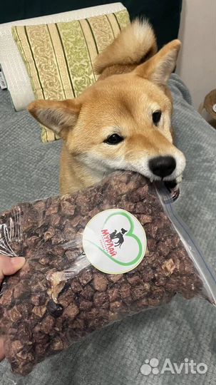 Легкое говяжье сушеное лакомство для собак