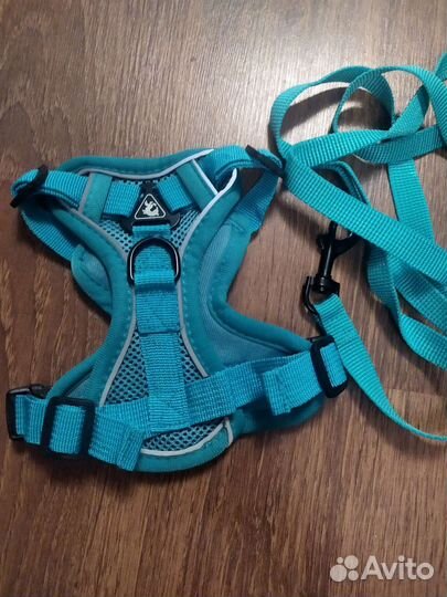 Шлейка для маленькой собаки