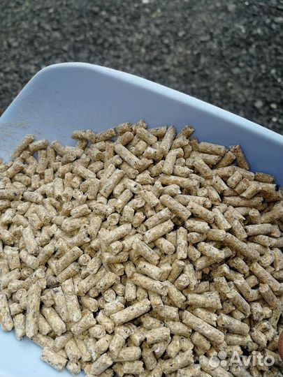 Старт. Рост. Финишь