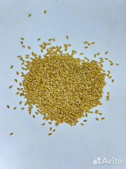 Лен золотой / Семена Для маслоделов