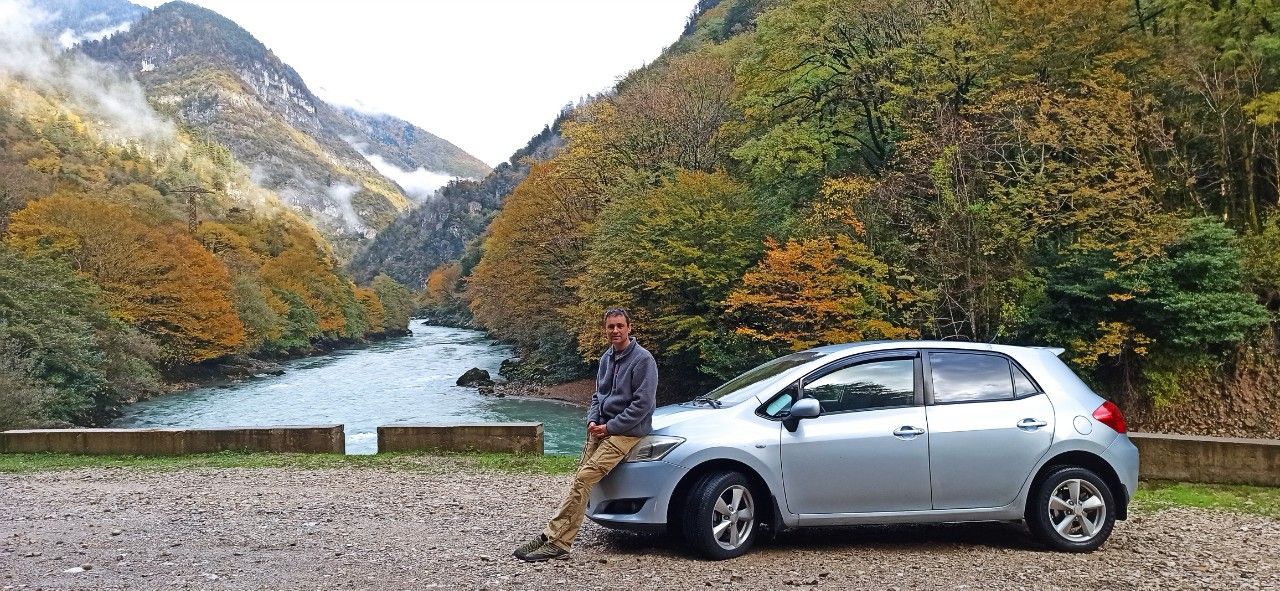 Toyota Auris: фото владельца