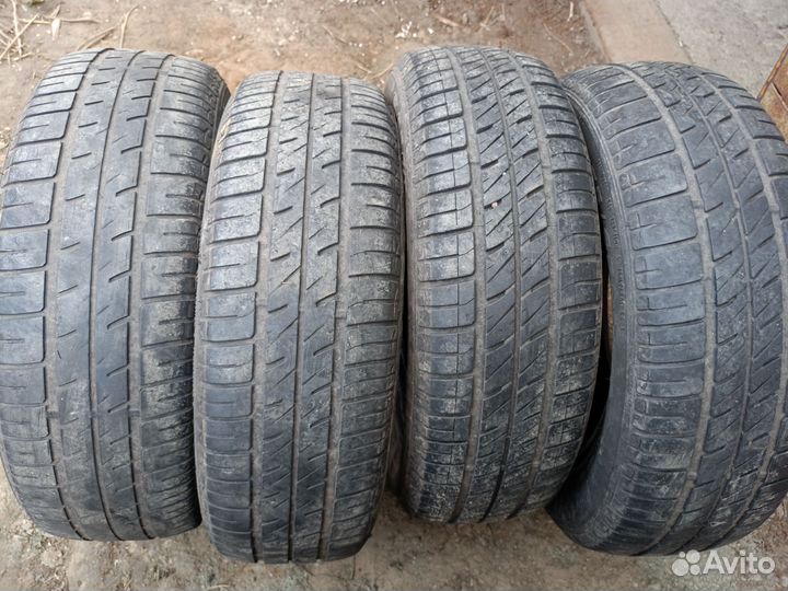 Sava Perfecta 175/65 R14