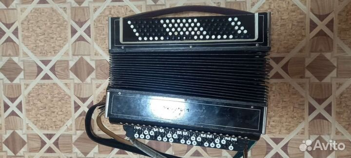 Баян Ростов Дон