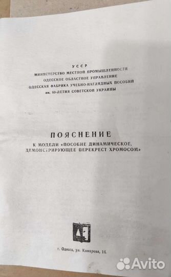 Пособие динамическое перекрест хромосом (биология)