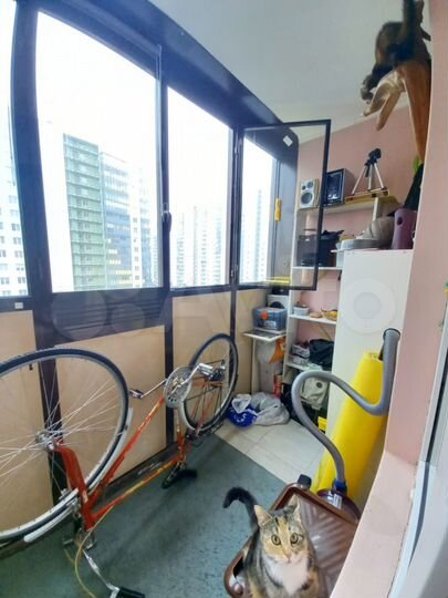 Квартира-студия, 22 м², 6/17 эт.