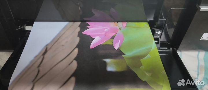 Принтер epson l800 б/у