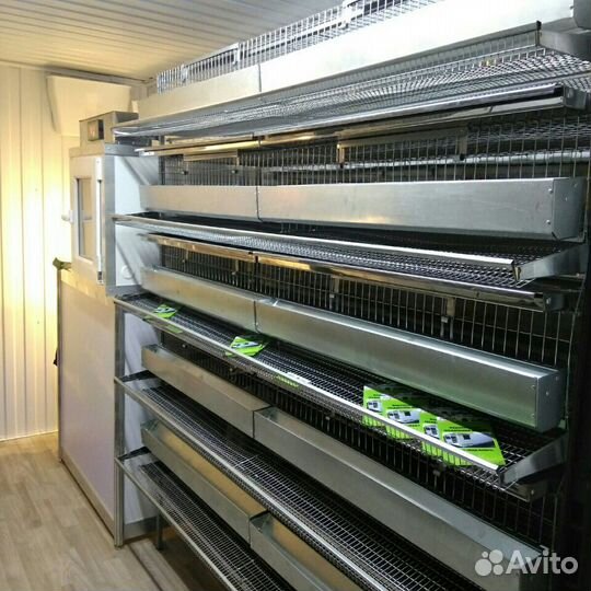 Перепелиная модульная Ферма