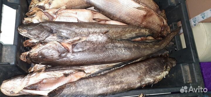 Рыба холодн. копчения, деликатес, чир, сом, щука