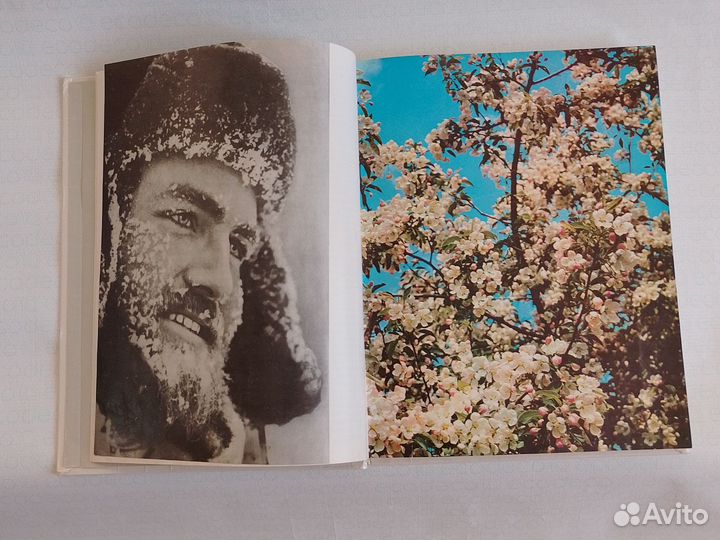 Характер советский книга