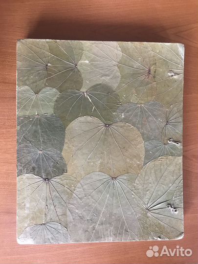 Альбом для фотографий Ботаника