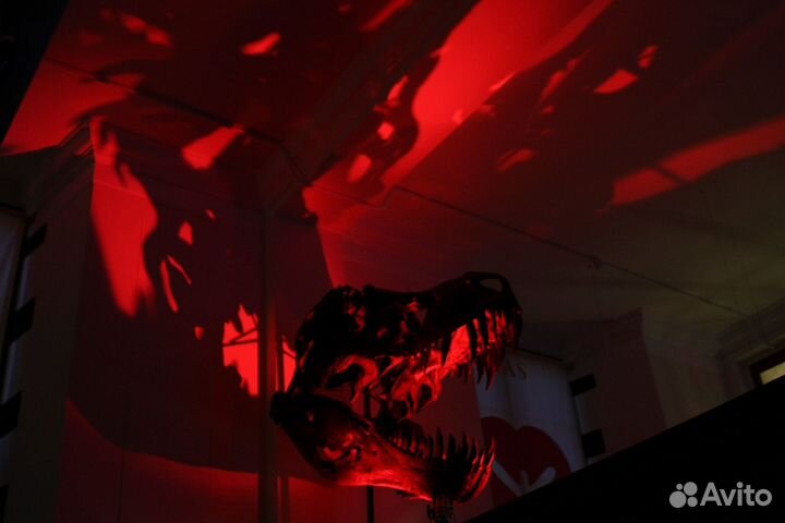 Вывески из неона, объемные буквы