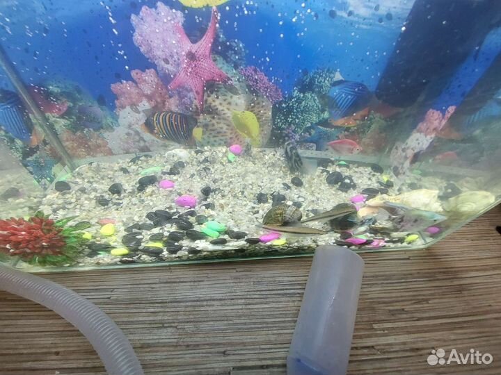 Аквариум