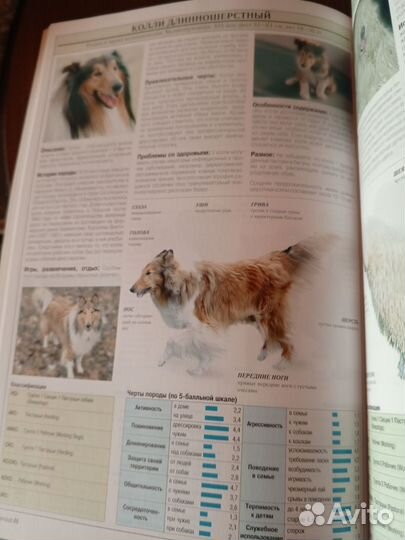 Книги о собаках