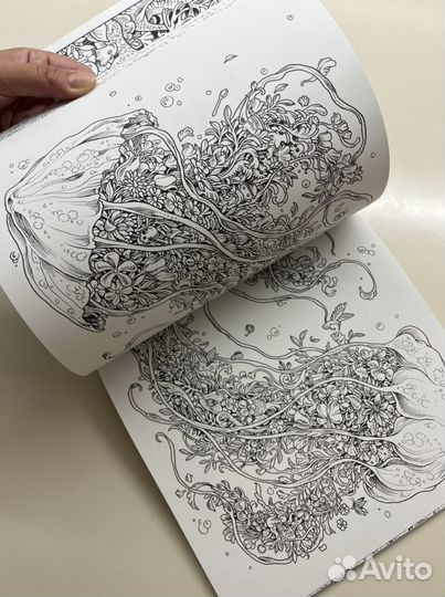 Imagimorphia Оригинальная Америкаснская раскраска