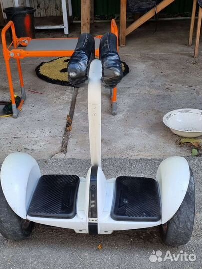 Гироскутер segway