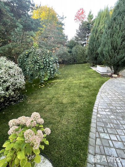 Рублевка. Рулонные газоны премиум качества