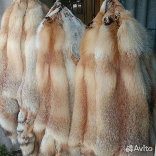 Шкурка животного