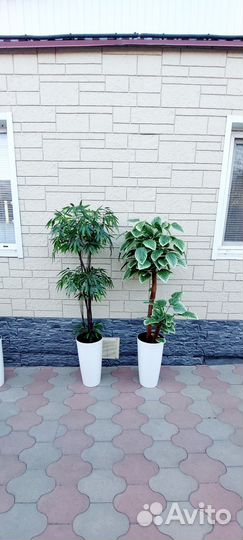 Дерево искусственное бамбук,фикус,манго