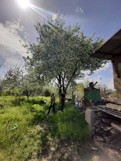 Дача 18 м² на участке 6 сот.