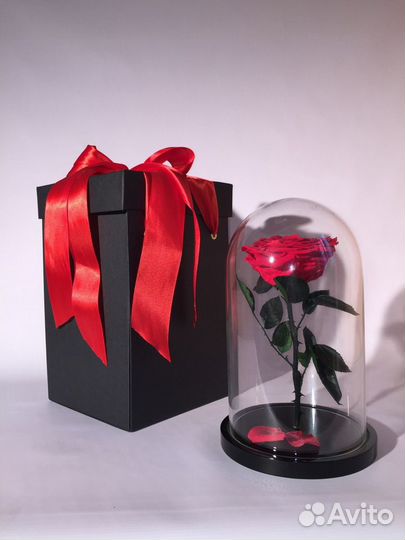 Роза в колбе