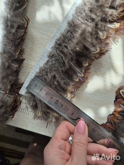 Перья фазана