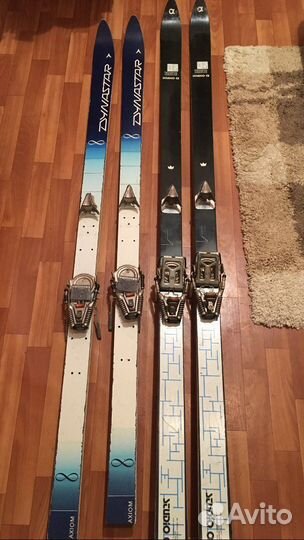 Горные лыжи