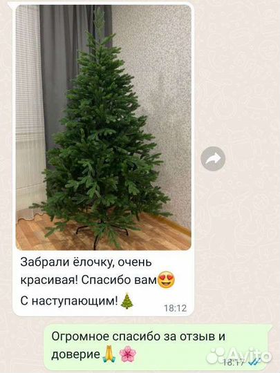 Ель царская премиум