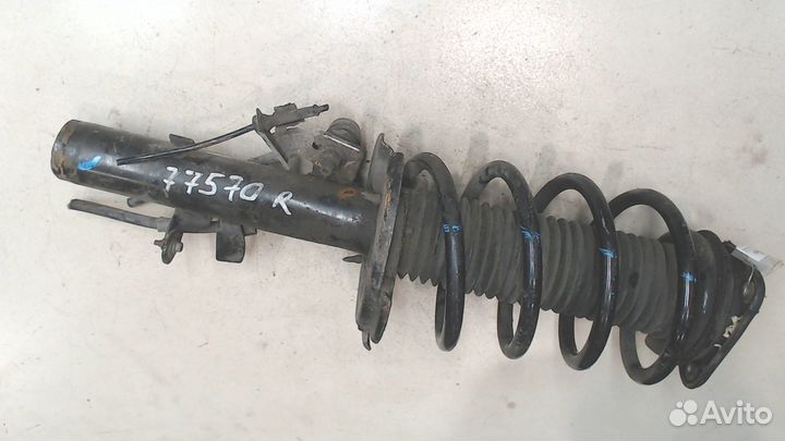 Амортизатор подвески Ford Focus 3, 2016