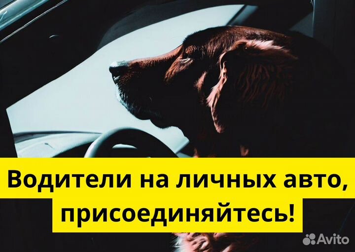 Подключай свое т/с к Яндекс GO