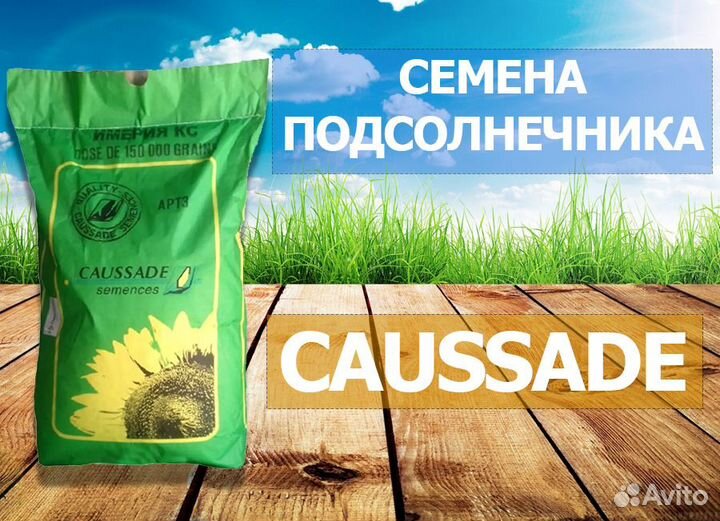 Семена подсолнечника Коссад семанс (Caussade)