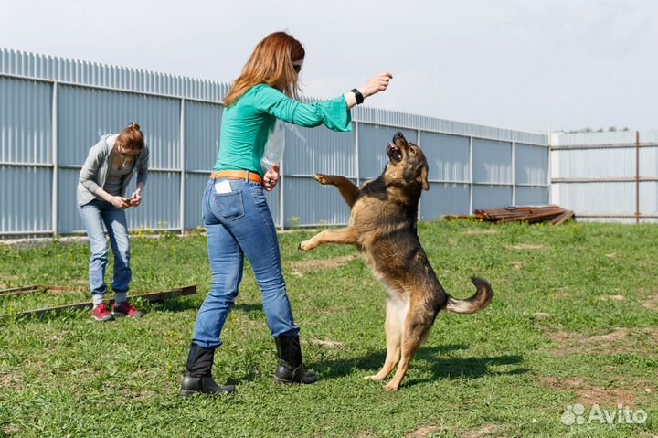 Отдаю даром замечательную Мотю в добрые руки