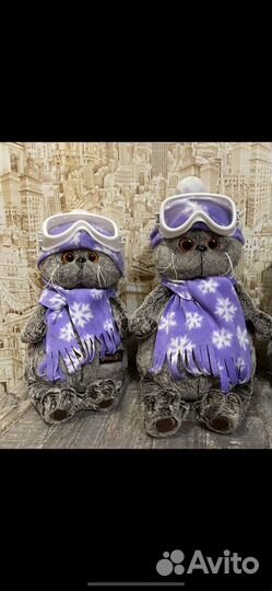 Кот Басик художник, Лыжник, Басик в халате