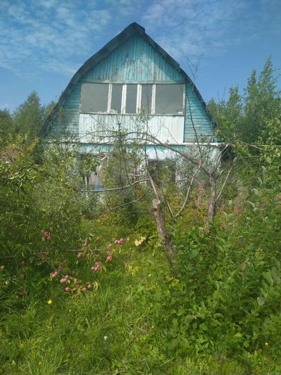 Участок 8 сот. (СНТ, ДНП)