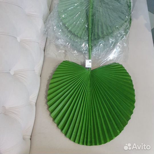 Лист Пальма веер зеленый