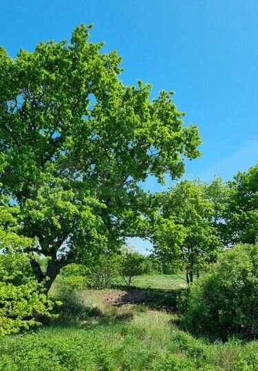 Дом 95 м² на участке 5 сот.