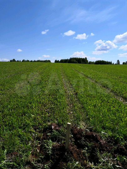 Участок 4,5 га (СНТ, ДНП)