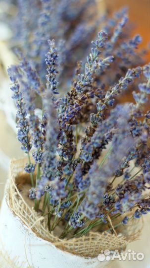 Лаванда в кашпо в стиле Прованс. Сухоцвет