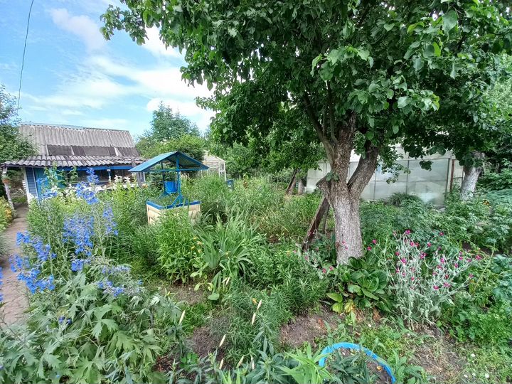 Дача 24 м² на участке 5,8 сот.