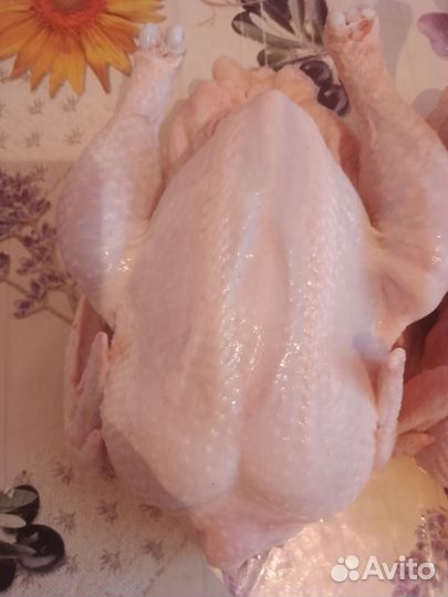 Мясо цыпленка бройлера домашнего