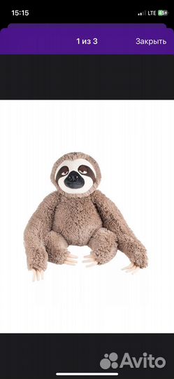 Ленивец обнимашка