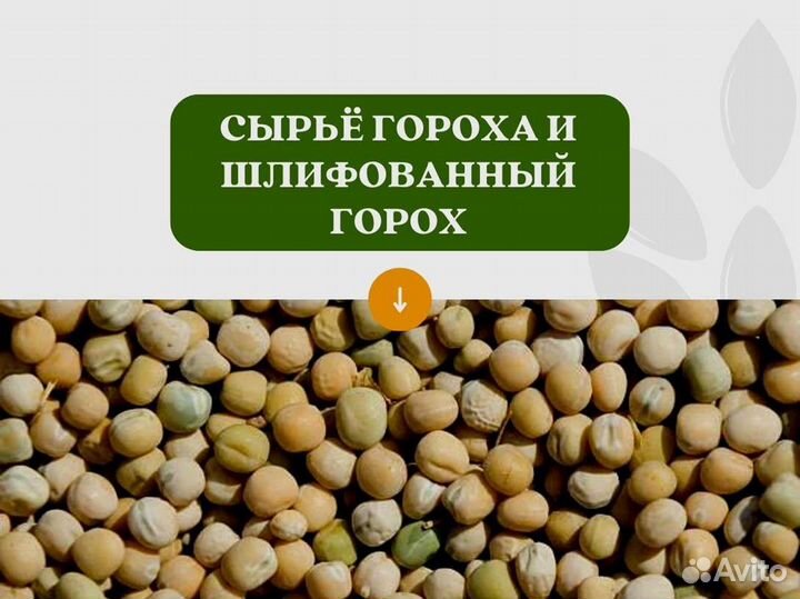 Горох с поля (сырье) (кг)