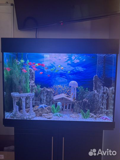 Аквариум с тумбой 170 литров