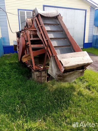 Сортировка лука