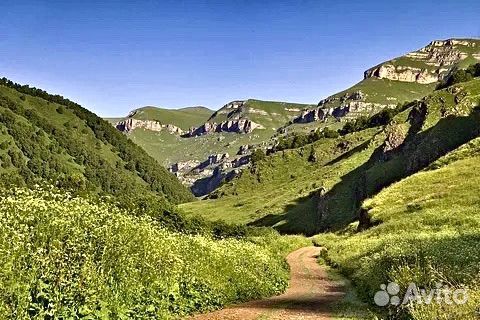 Экскурсия в ущелье Хасаут из Пятигорска